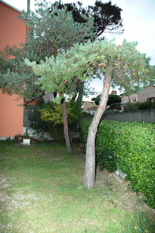 Villa Linda Affittacamere Μπελάρια-Ιτζέα Μαρίνα Εξωτερικό φωτογραφία